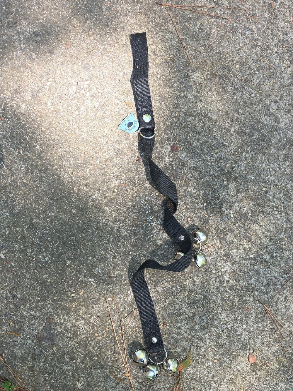 Black Webbing Strap with Clustered Silver Jingles